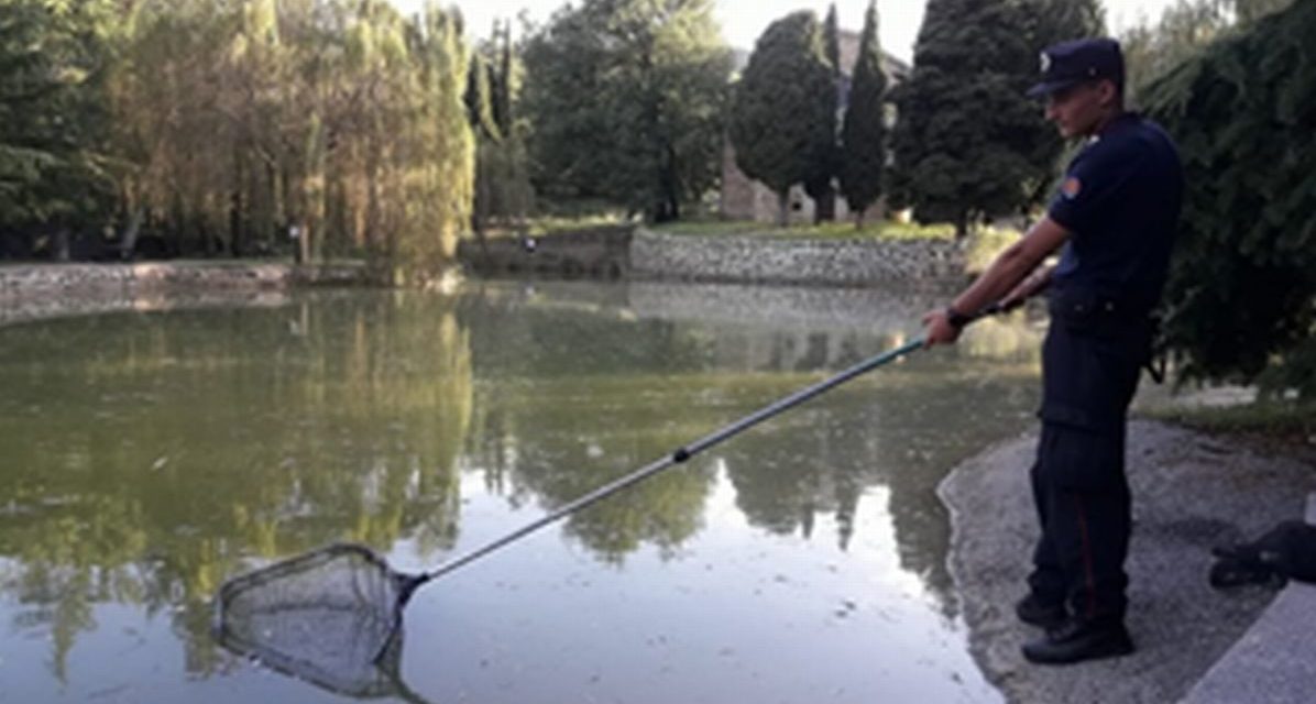 Diverse le illegalità emerse nelle province di Alessandria ed Asti sui corsi d’acqua