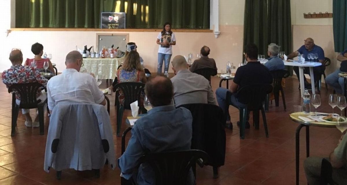 Sabato a Tortona una Panoramica sul moscato secco a cura di “Incontri DiVini”