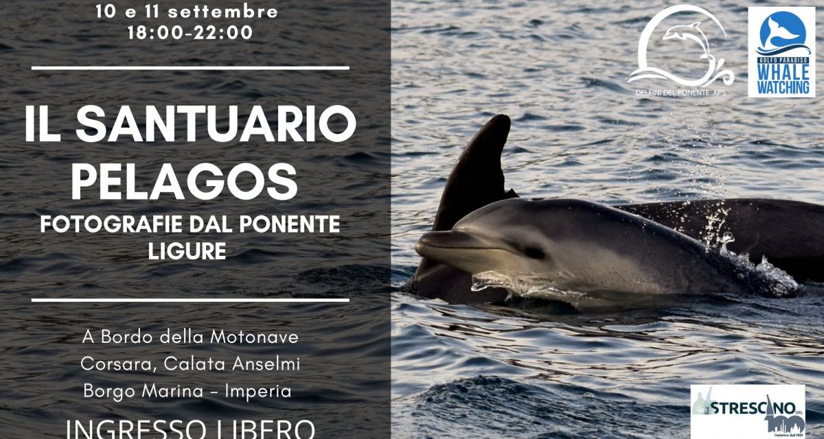 A Imperia torna l’appuntamento gratuito con “Il Santuario Pelagos: fotografie dal Ponente Ligure”