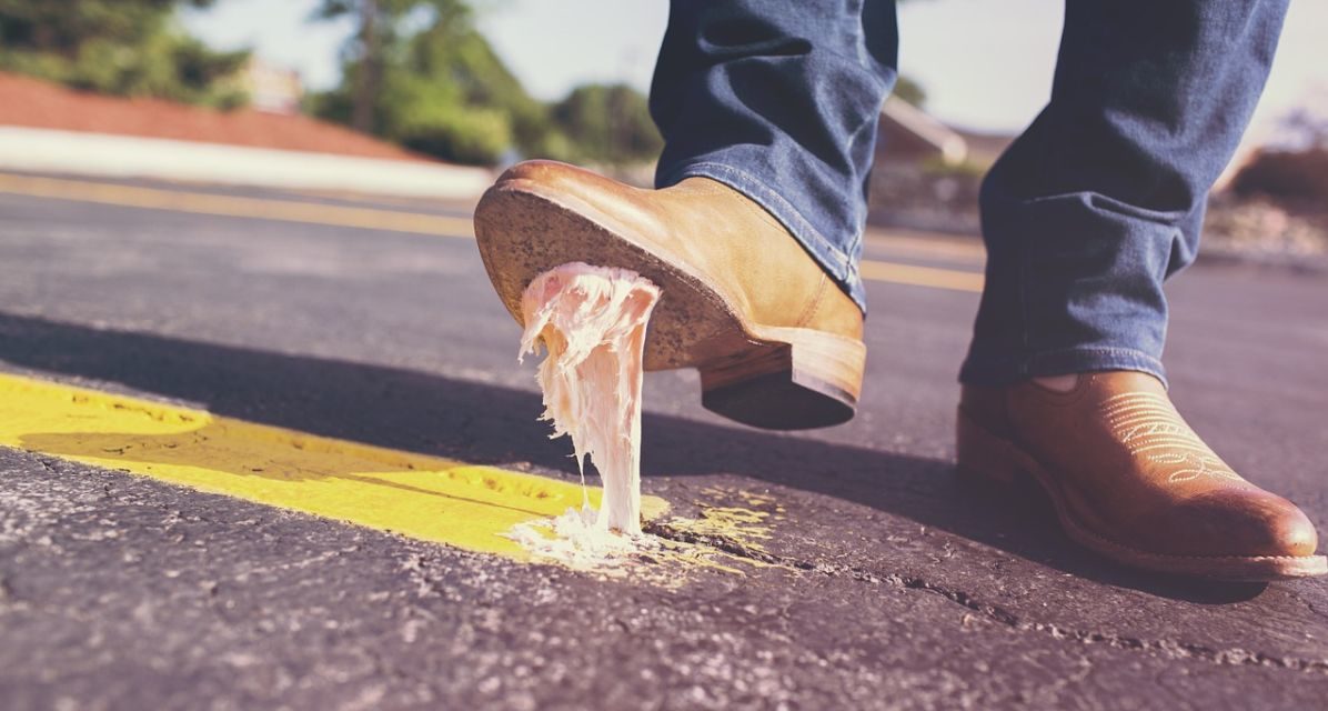 Domenica a Tortona i volontari puliscono la città con Gestione Ambiente