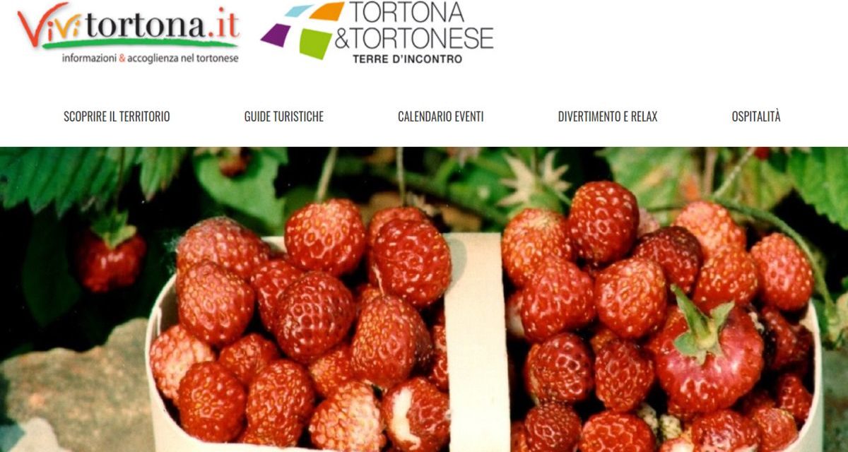 Volete maggiore visibilità? Sponsorizzate il sito turistico “ViviTortona”