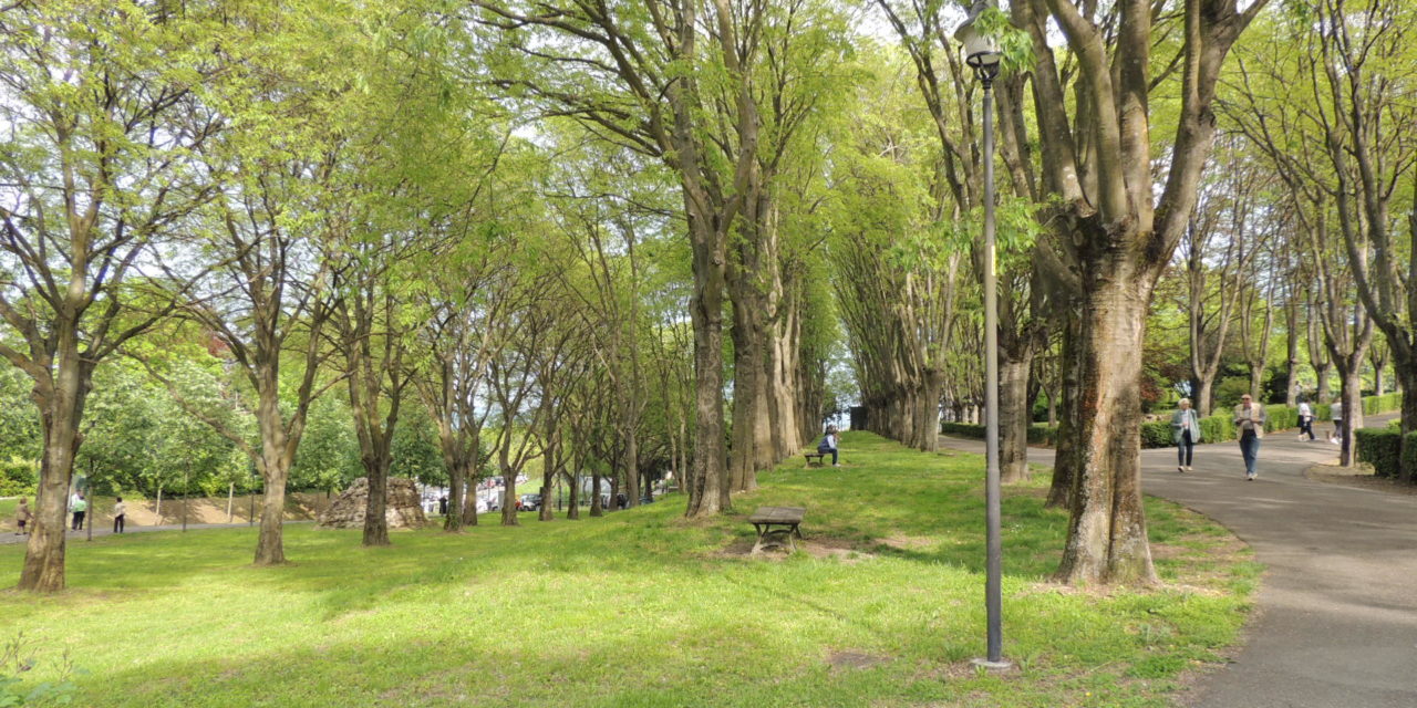 Comune e Vigili del Fuoco hanno chiuso il Parco del Castello di Tortona. Chiodi spiega i motivi