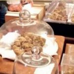 Profumo di tartufo nel Monferrato: a Murisengo due domeniche con la fiera internazionale e grandi ospiti