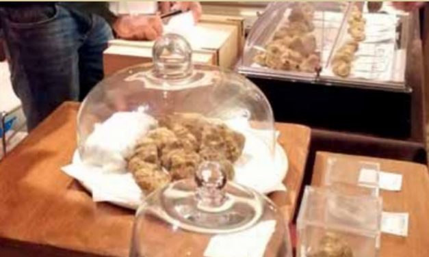 Profumo di tartufo nel Monferrato: a Murisengo due domeniche con la fiera internazionale e grandi ospiti