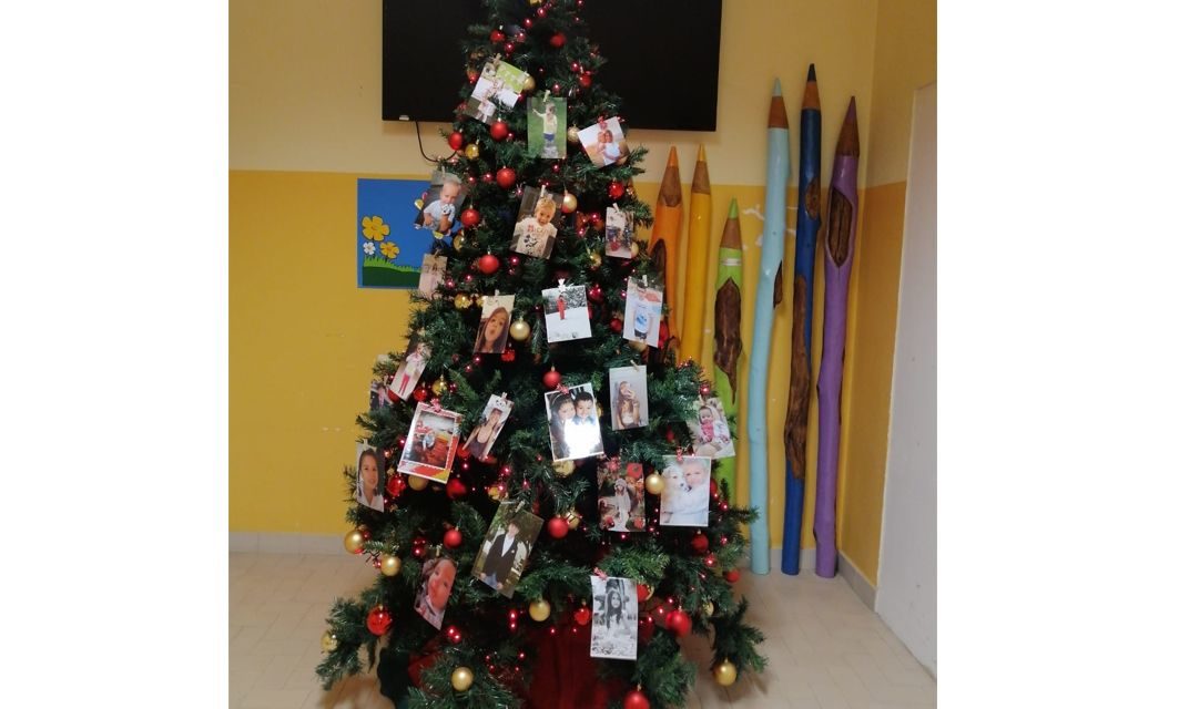 Alla Cardiologia Pediatrica di Alessandria un albero di Natale molto speciale