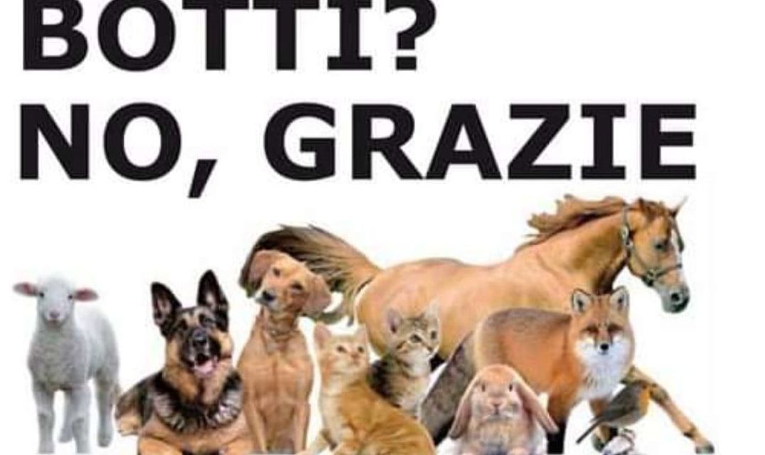 Capodanno, divieto dei “botti” <strong>sul territorio comunale di Voghera</strong>