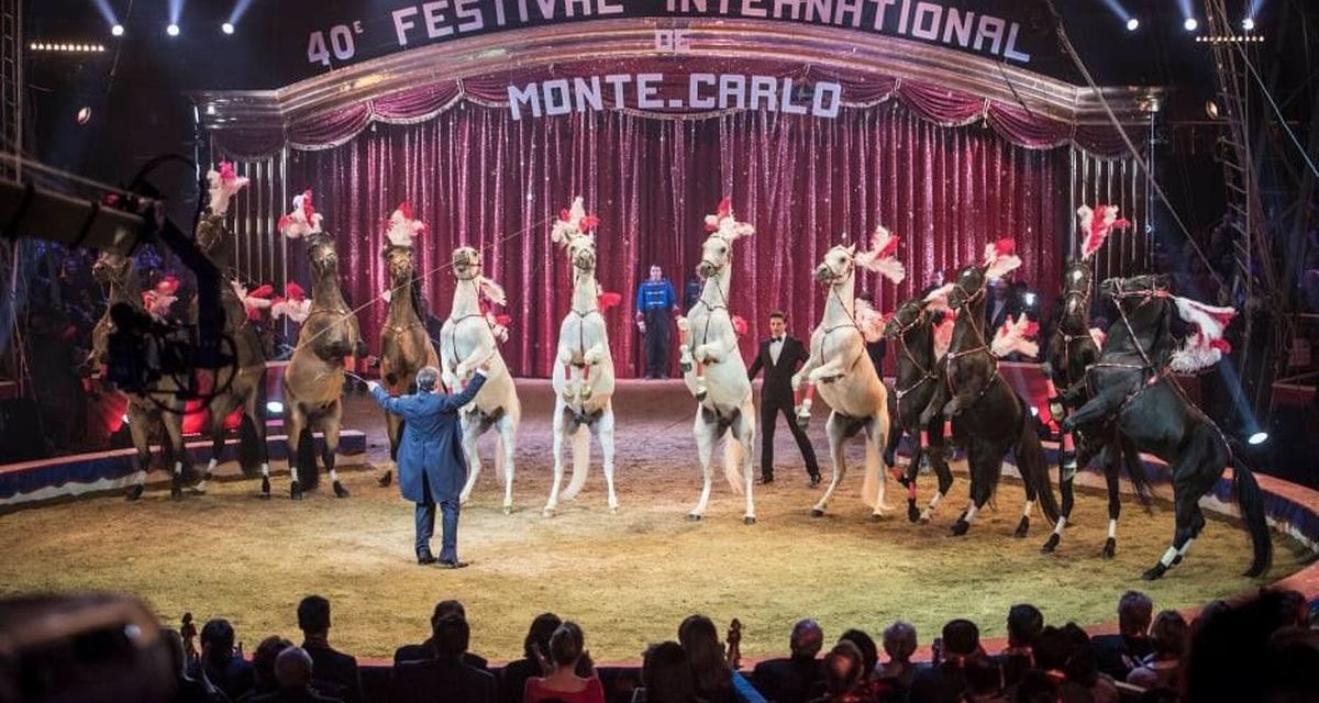 Fino a Domenica a Casale Monferrato c’è il Circo Americano della famiglia Togni