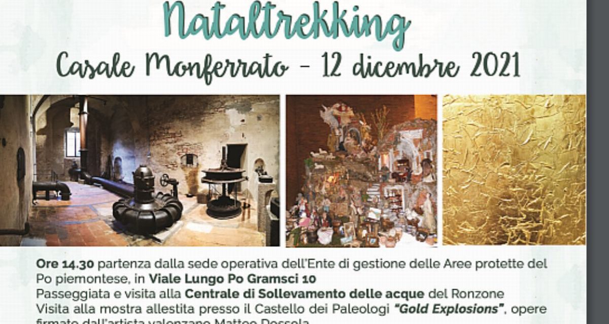 A casale Monferrato domenica c’è la sesta edizione di Nataltrekking