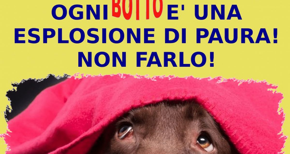 Ad Alessandria al via la campagna anti botti