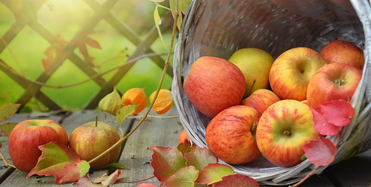 La frutta del Piemonte a Berlino