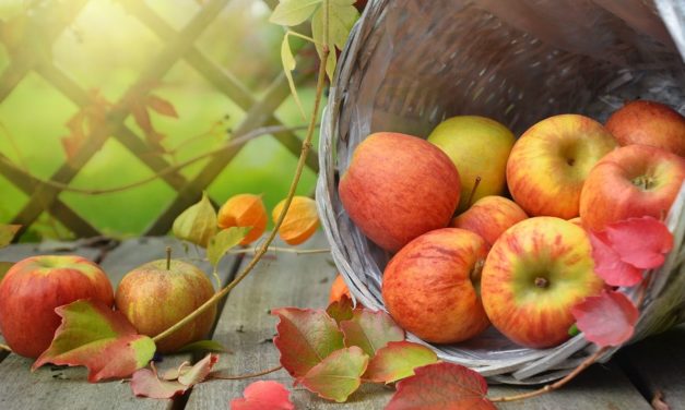 Monleale celebra i sapori d’autunno: domenica torna la tradizionale Festa mercato della Mela e della Pera
