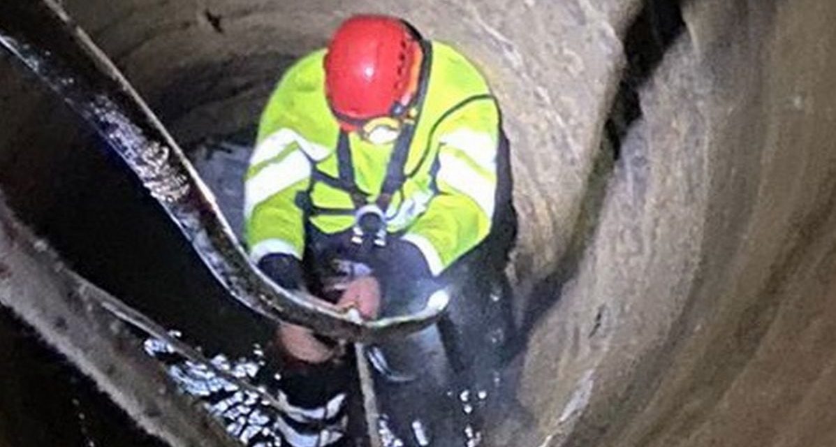 I pompieri Tortona prima salvano un gatto che annegava nella M. e poi i proprietari da un incendio