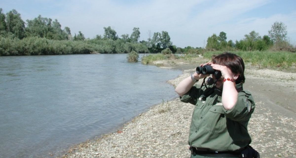Intervento anti bracconaggio dei Guardia parco nel Po piemontese