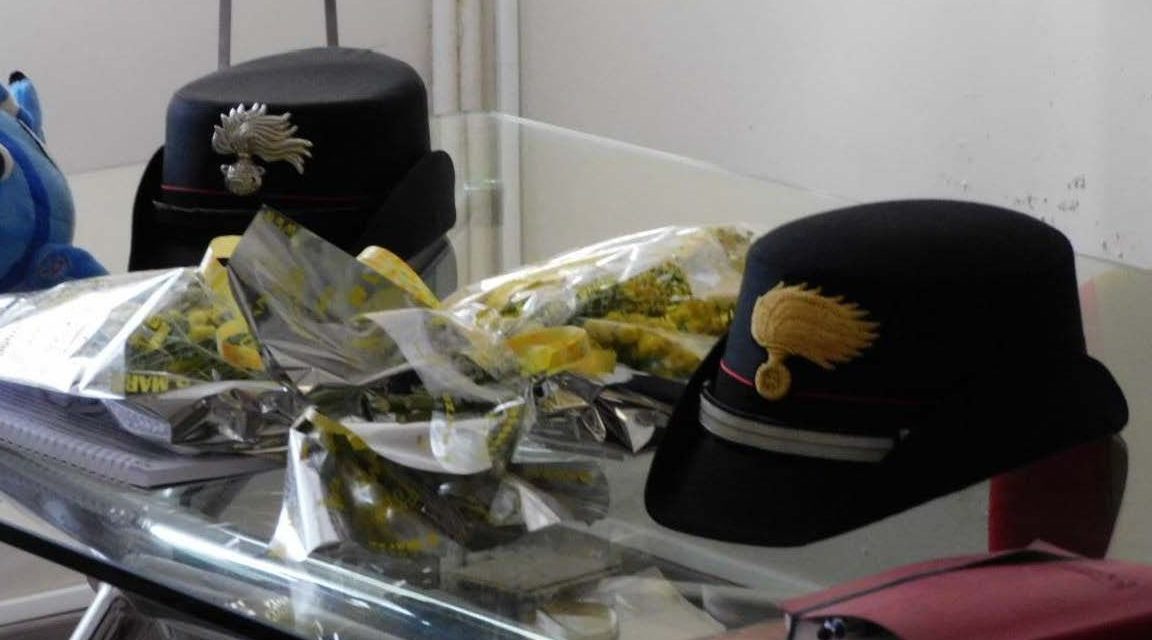 I Carabinieri di Casale Monferrato  in occasione dell’ 8 marzo