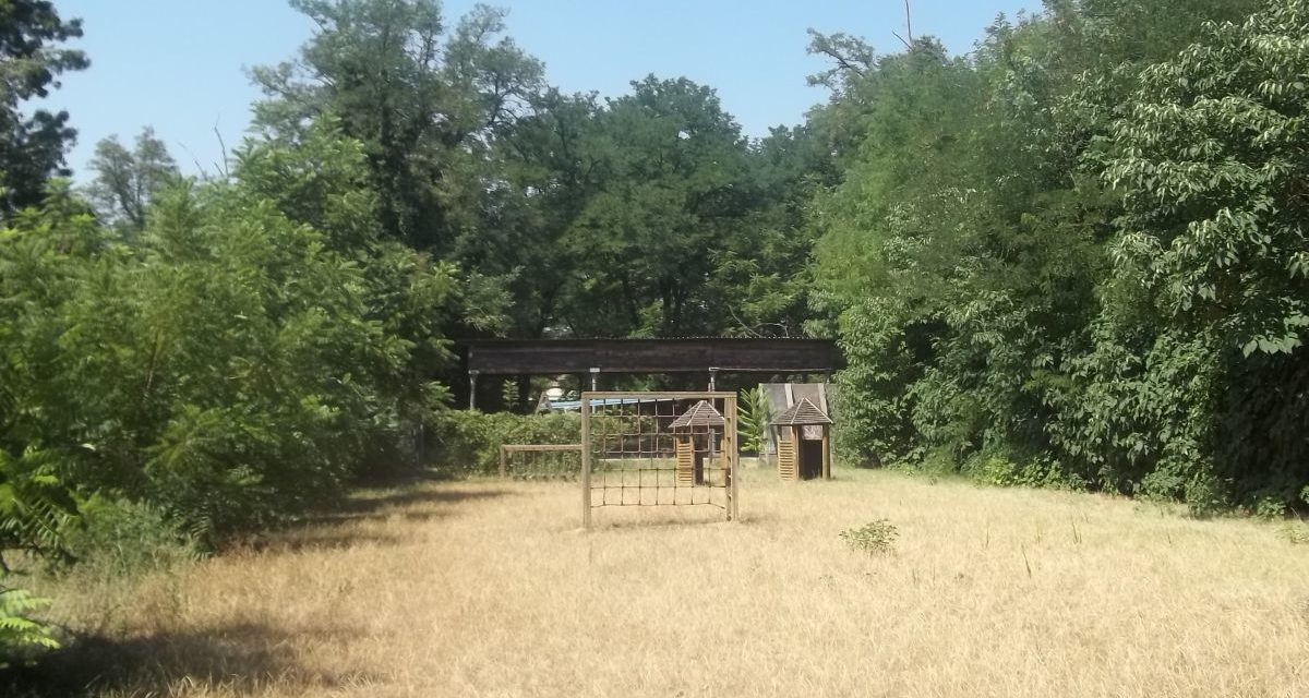 Azione Tortona vuole far rinascere l’ex Colonia Solare con un bel progetto