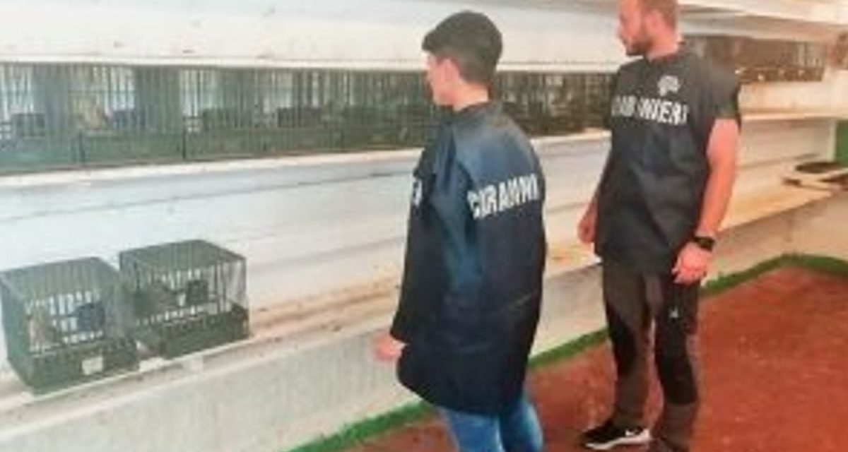 I controlli dei Carabinieri forestali in provincia di Imperia
