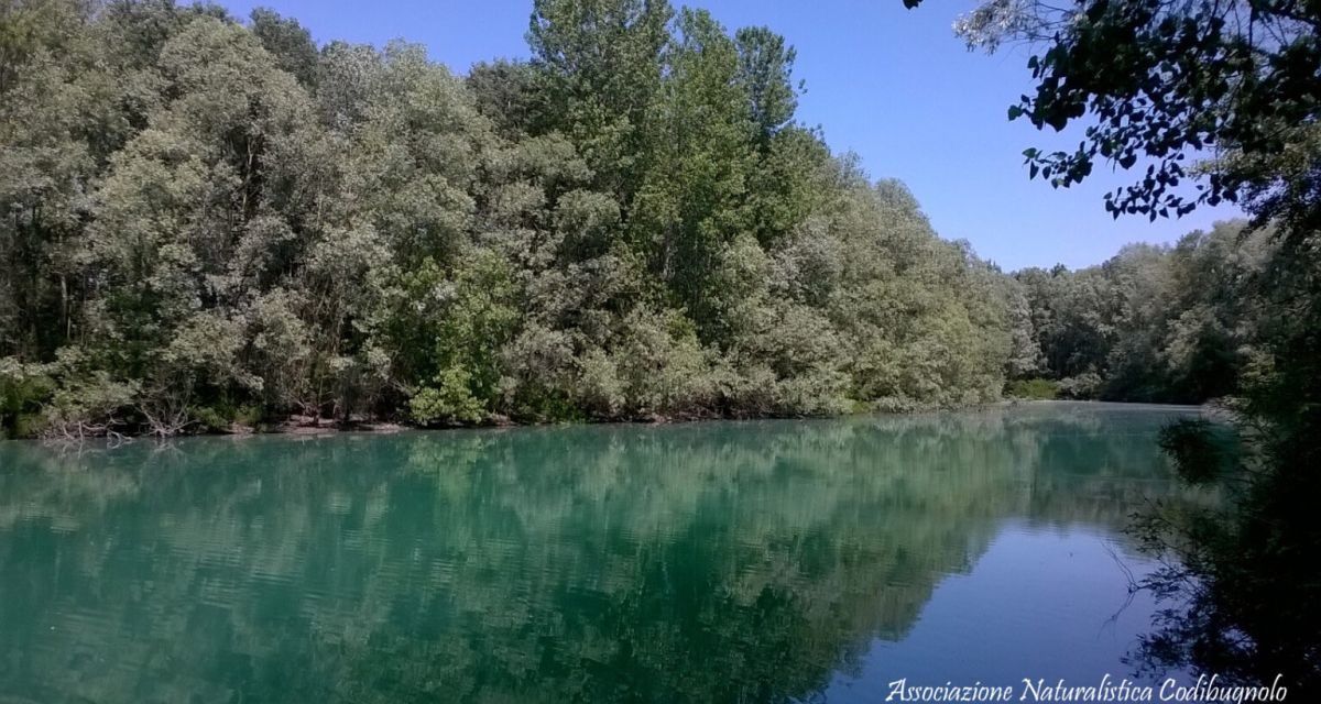 “DisegniAMO il Po” in mostra a Casale Monferrato fino al 2 settembre