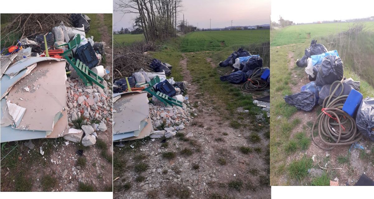 Vergogna a Novi per questa discarica in mezzo al verde, ma l’autore viene scoperto da Gestione Ambiente
