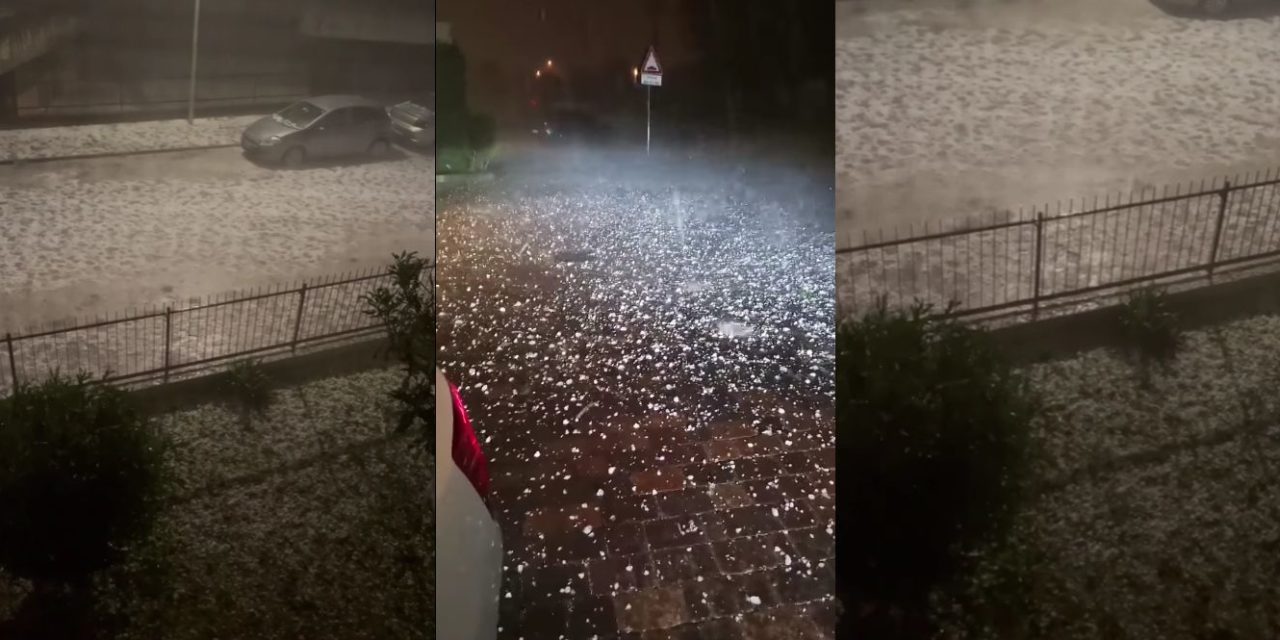 Sopralluogo dell’assessore regionale all’agricoltura nel Tortonese per i danni del maltempo