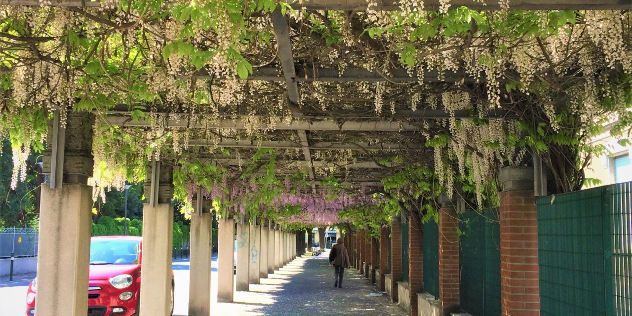 Domenica speciale a Tortona con tanta gente in giro anche grazie agli eventi in corso