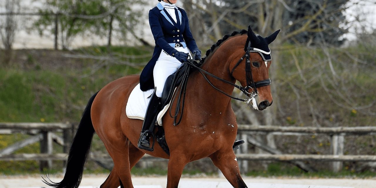Domani a Quargnento il  Premio Dressage 2022 Club Cavallo Italia