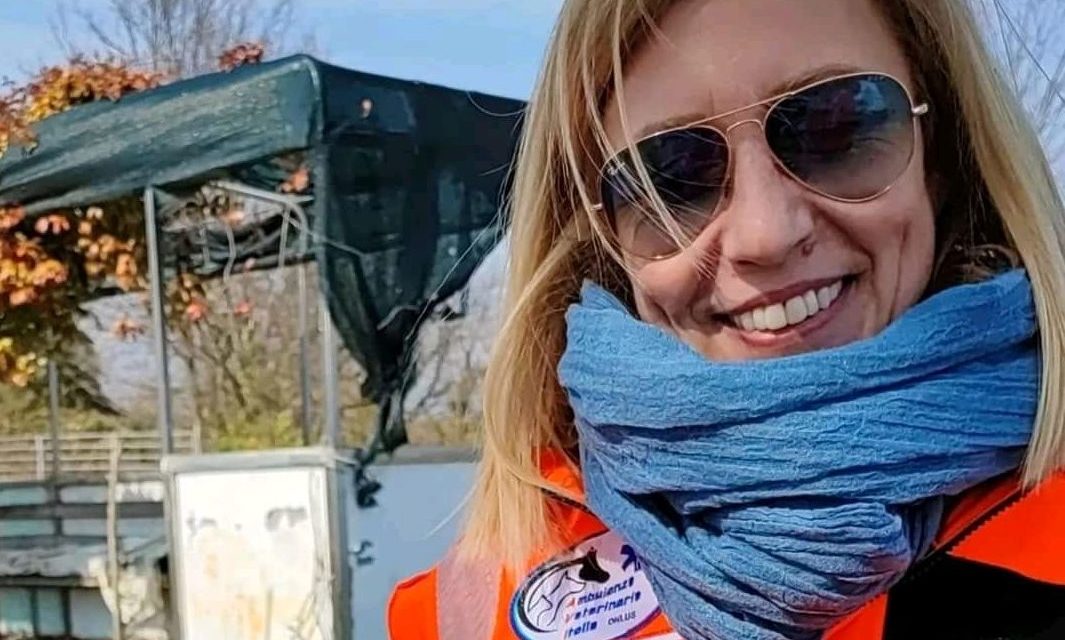 Le azioni del Comune di Valenza per gli animali