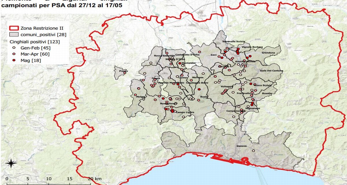 La peste suina si avvicina: un nuovo caso ad Arquata e due a Vignole