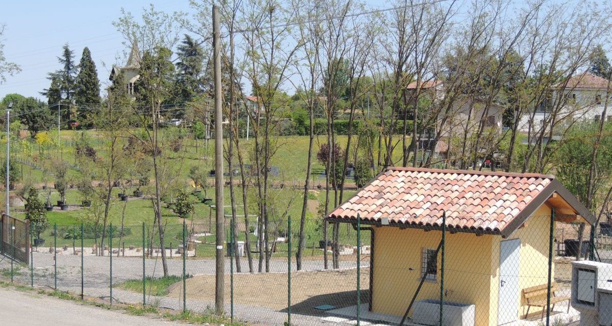 Sabato a Tortona una bella iniziativa con Fai e Verde Commerce