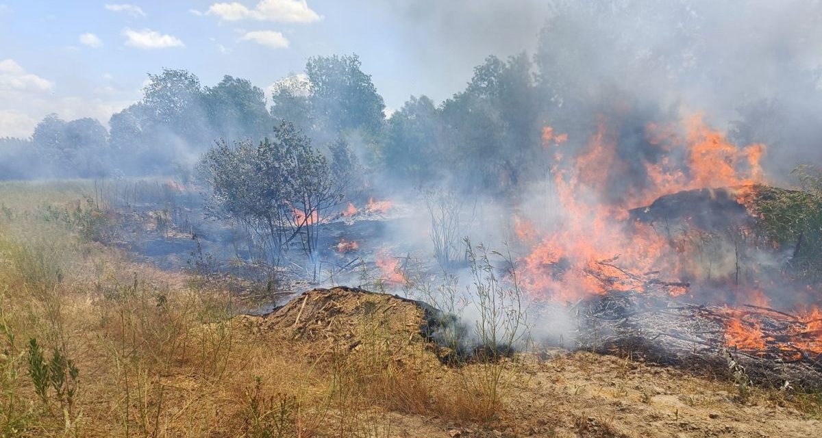 Le immagini di altri tre incendi ad Isola S.Antonio forse ad opera di un piromane. Il Sindaco imbufalito incontra i Carabinieri.