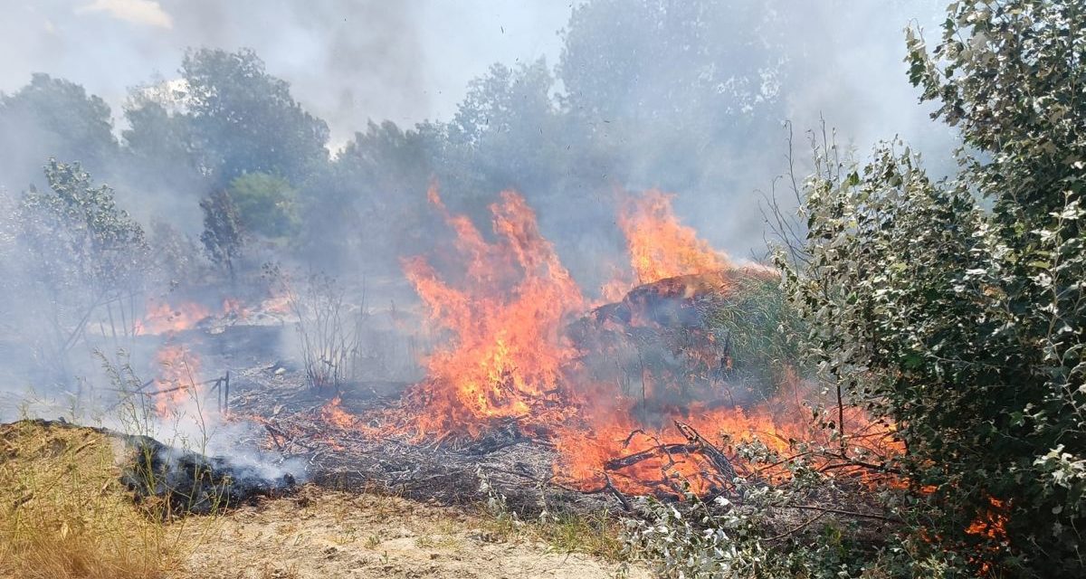 Sanremo, appicca focolai nei boschi con un accendino: arrestato incendiario in flagranza di reato