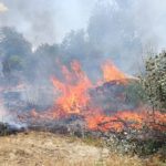 Sanremo, appicca focolai nei boschi con un accendino: arrestato incendiario in flagranza di reato