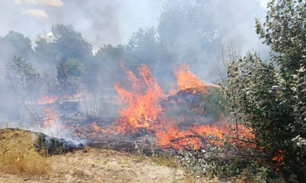 Sanremo, appicca focolai nei boschi con un accendino: arrestato incendiario in flagranza di reato