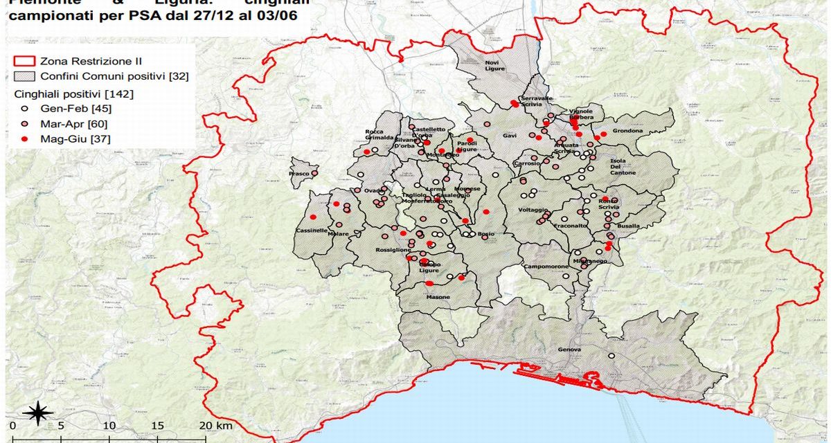 Peste suina, cinque nuovi casi in provincia di Alessandria