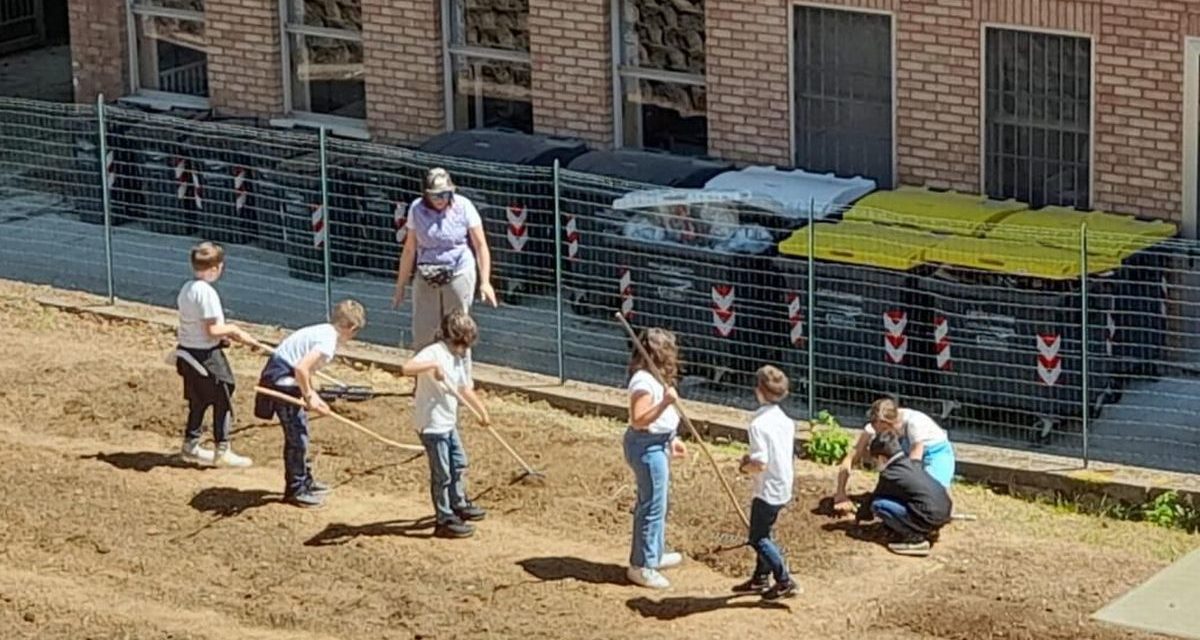 Un orto scolastico alla scuola primaria “Zucca” di Novi Ligure