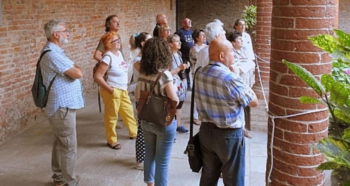 A Casale Monferrato: una bella serata per conoscere i rondoni!