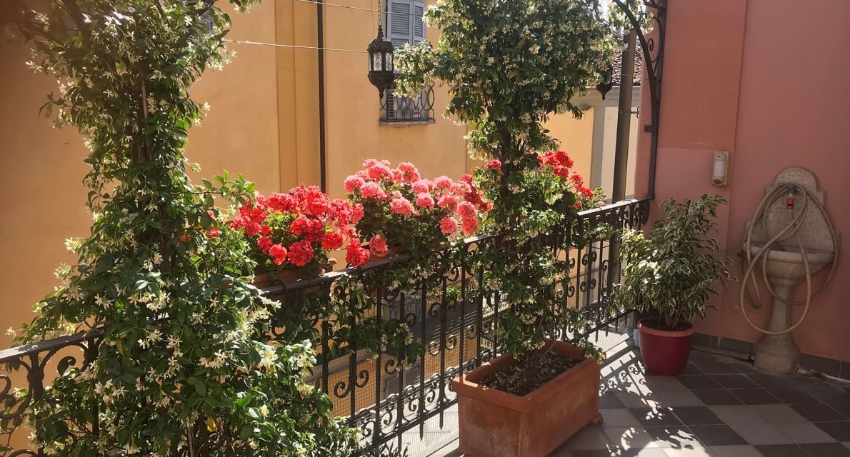 Ecco chi ha vinto il concorso “Balconi Fioriti” di Alessandria