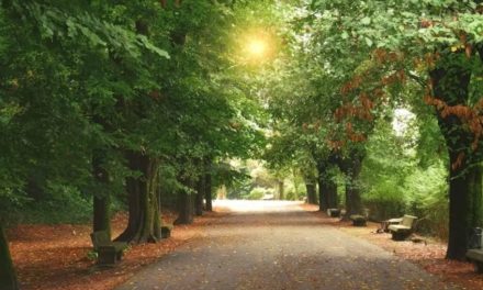 Il Parco del Castello di Tortona in ordine grazie alla Fondazione. Ecco cosa si farà