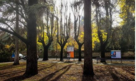 Cura della città e verde pubblico: a Tortona si è lavorato a pieno regime anche durante le ferie estive