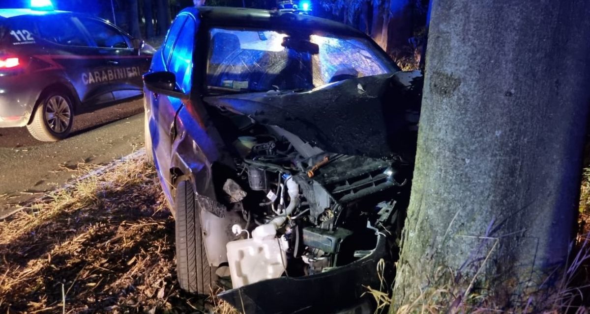 Giovane si schianta contro quest’ albero a Castelnuovo Scrivia e muore un mese dopo il fratello