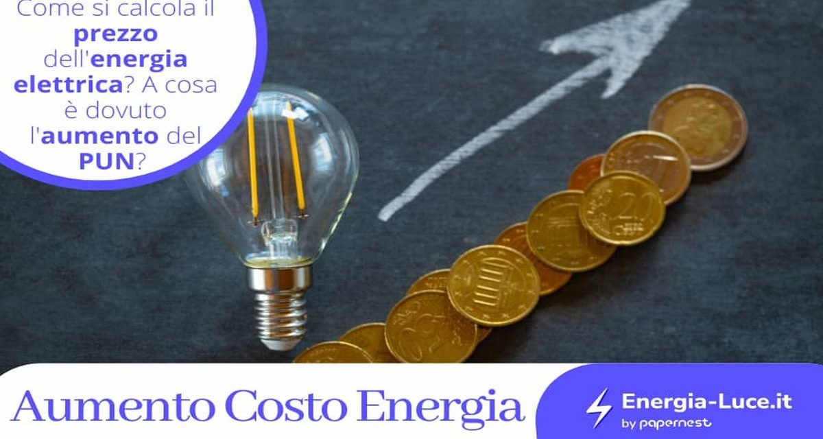 Aumento del costo dell’Energia Elettrica: come reagire? 