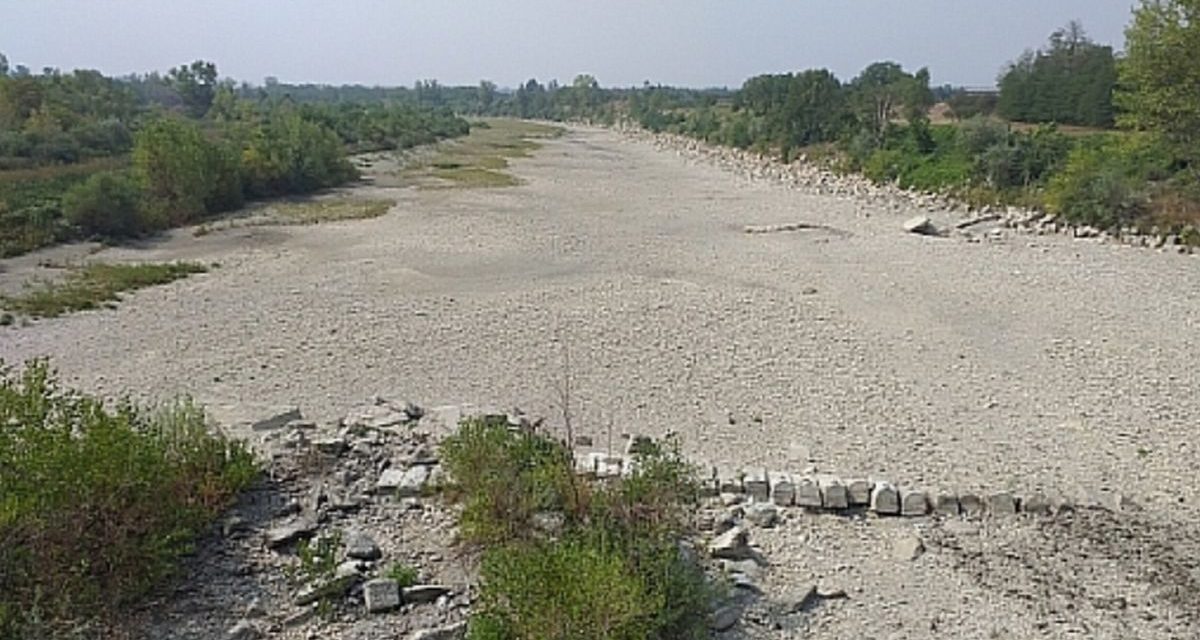 Salvataggio di pesci nel Torrente Orba in secca a Casalcermelli e Bosco Marengo