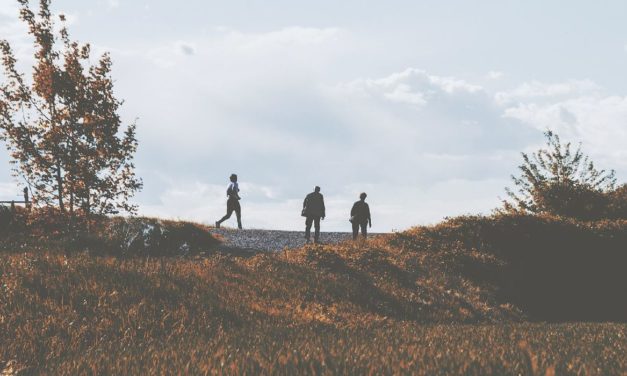 Vacanze in Piemonte: monumenti e luoghi da non perdere ad Alessandria