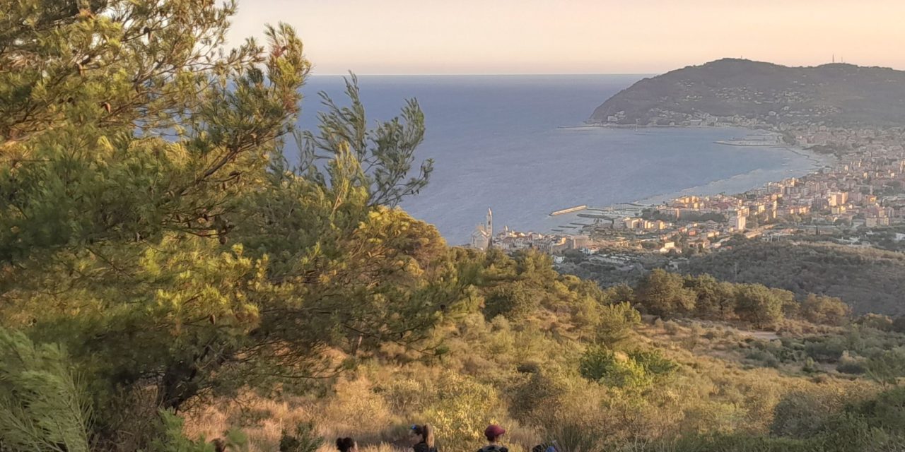 Domenica 30 ottobre a Cervo una Camminata tra gli Olivi, partecipate!