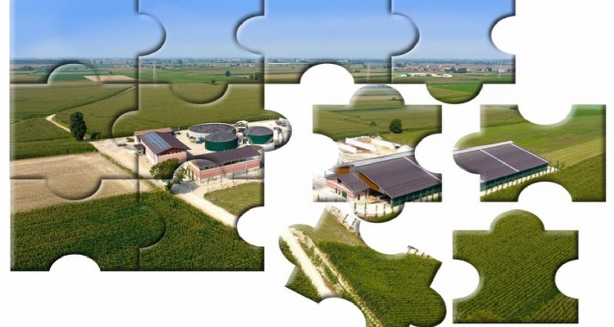 AgroInsecta torna come evento in presenza, a Tortona,<br>il 21 ottobre 2022