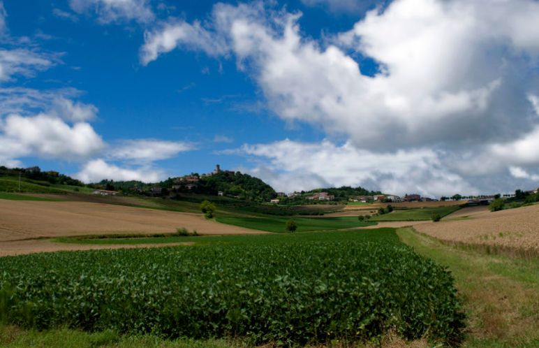 Domenica a Camino tra incantevoli paesaggi e storia, con ANGSA di Casale
