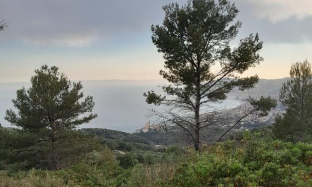 Cervo: sabato 15 novembre l’inaugurazione del percorso ‘Armonia e Benessere’ nel Parco del Ciapà