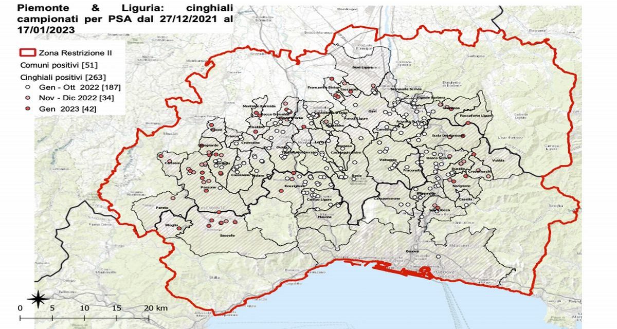 Continua l’allarme Peste suina: 11 nuovi casi nelle ultime 24 ore