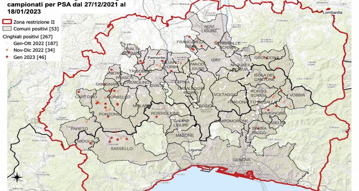 Quattro nuovi casi di peste suina nel Basso Piemonte