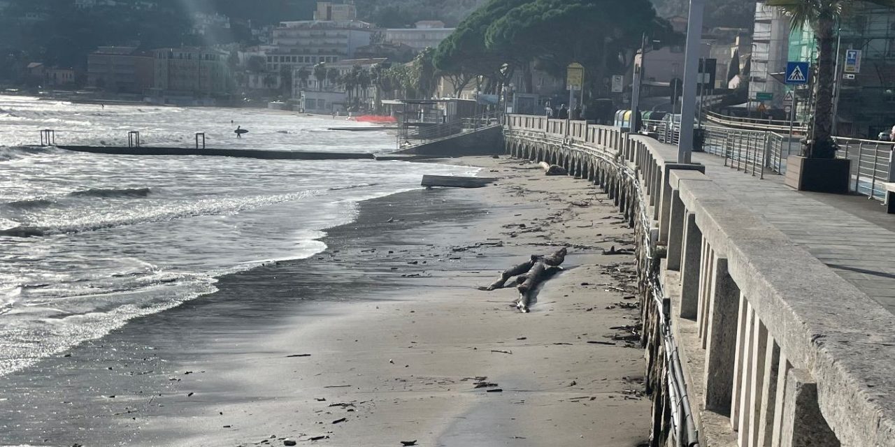 Le immagini della mareggiata a Diano marina con tronchi e detriti sulla spiaggia