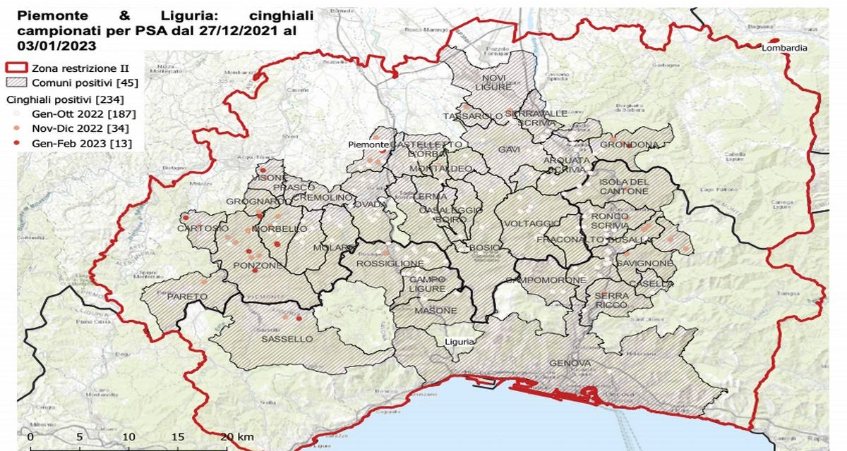Allarme Peste suina: ben 11 casi in un solo giorno!!